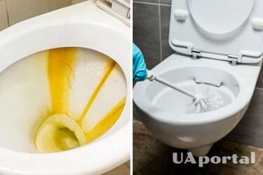 Чому з'являється смуга іржі в унітазі та як її усунути