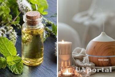 М‘ята та сандал: 7 запахів, які притягують гроші у будинок