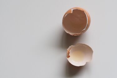 Ви точно цього не знали: лайфхаки з яєчною шкаралупою