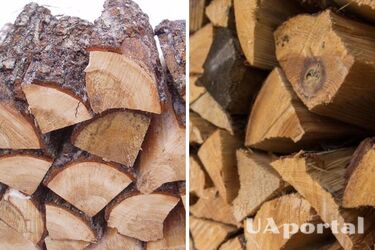 Які породи дерева найкраще підходять для розтопки