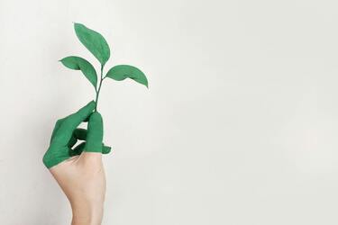 Top 5 practical ways to protect the environment