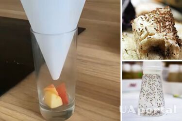 Потрібен лише аркуш паперу: лайфхак, як виловити набридливих мошок на кухні (відео)