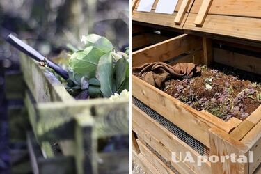 Що робити з компостною ямою перед холодами