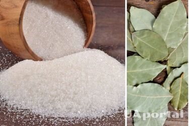 Навіщо класти лавровий лист у цукор