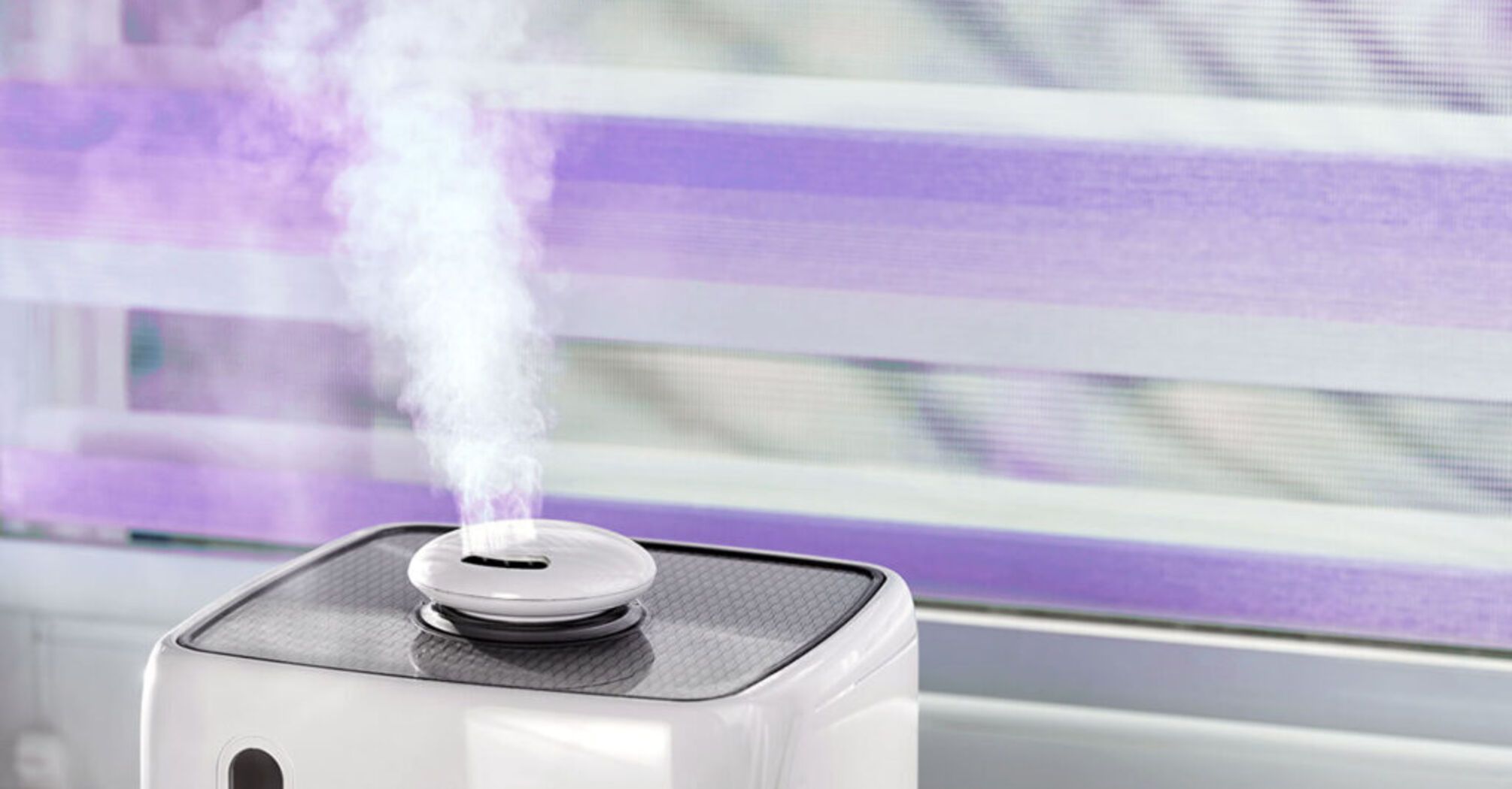 How to easily and quickly humidify the air in the apartment - what can ...