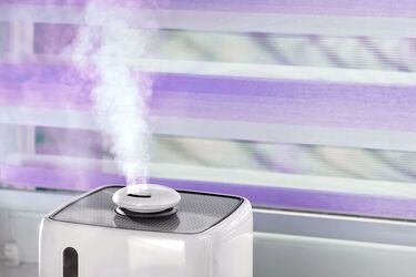 How to humidify the air in an apartment: simple methods