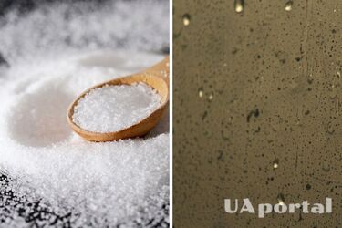 Как быстро избавиться от конденсата на окнах: дешевый лайфхак