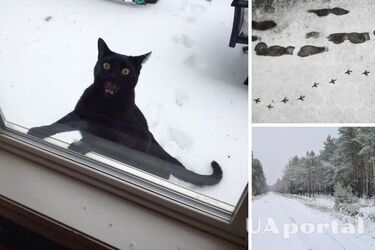 Штормовой ветер и снегопады: синоптики 'напугали' украинцев прогнозом погоды