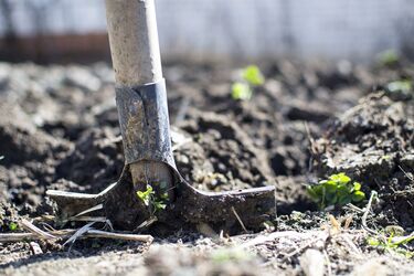 How to fertilize the land in late fall to get a big harvest