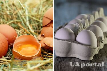 That is what sailors do: how to keep chicken eggs fresh for months