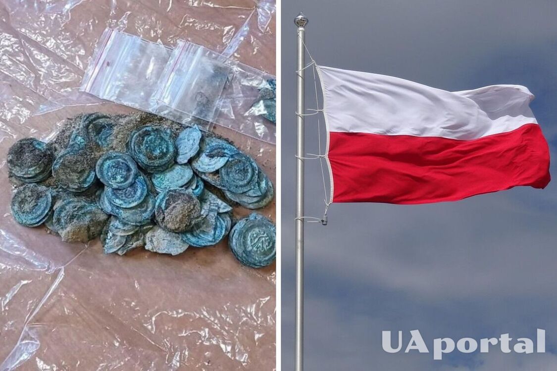 Coin treasure of the Silesian Broketes discovered in Poland (photo)
