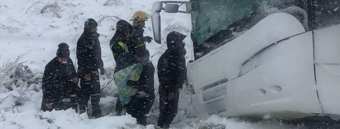 В Одесской области - массовые ДТП из-за снегопадов: в Измаильском районе в кювет съехал автобус с 22 пассажирами (фото, видео)