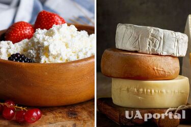 Что нельзя есть с сыром и почему