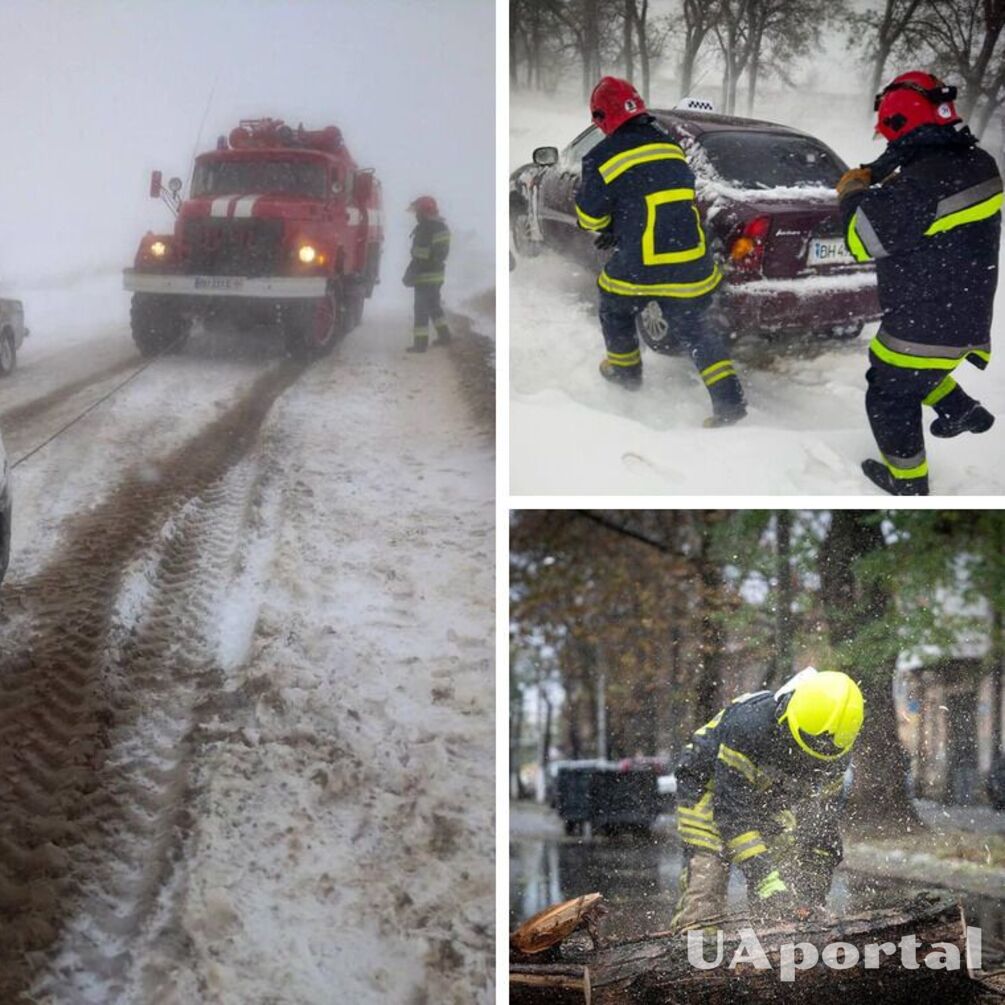 На Одещині бушує негода: через снігопади падають дерева, перевертаються автомобілі (відео)