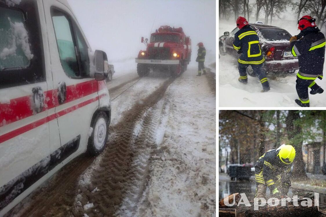 На Одещині бушує негода: через снігопади падають дерева, перевертаються автомобілі (відео)