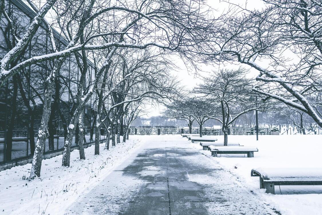 Українців попередили про погіршення погодних умов: очікуються снігові заметілі, водяться обмеження на дорогах та у школах