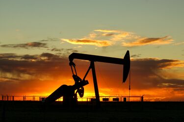 Это не динозавры: эксперты объяснили, откуда берется нефть