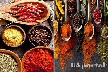 Not everyone knows this: what spices emphasize the taste of meat, fish and poultry best
