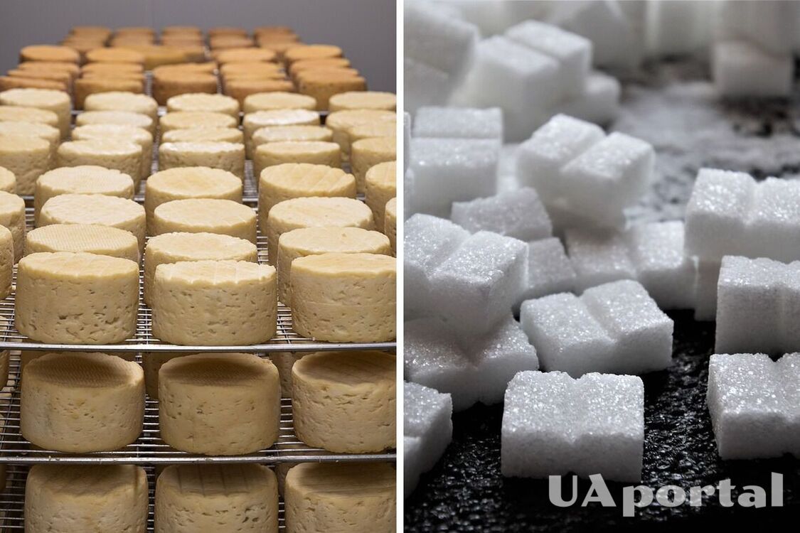Why store cheese with sugar cubes: an unexpected life hack