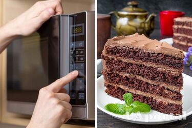Шоколадний торт - як швидко приготувати торт з какао у мікрохвильовці за 3 хвилини