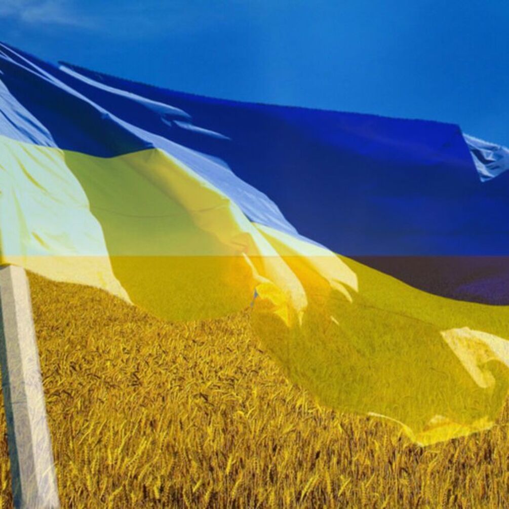 Чому саме синьо-жовтий: цікаві факти про український прапор 