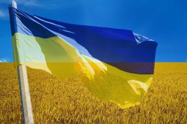 Почему именно сине-желтый: интересные факты об украинском флаге