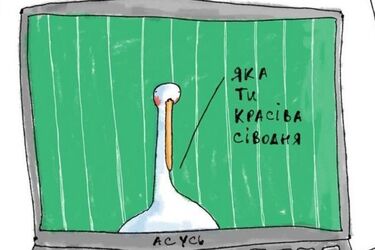 Які українські слова помилково вважають суржиком