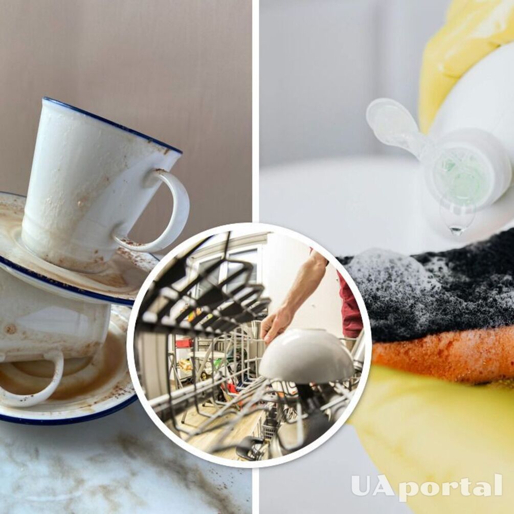 Experts explain why you should put a kitchen sponge in the dishwasher