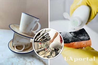 Experts explain why you should put a kitchen sponge in the dishwasher