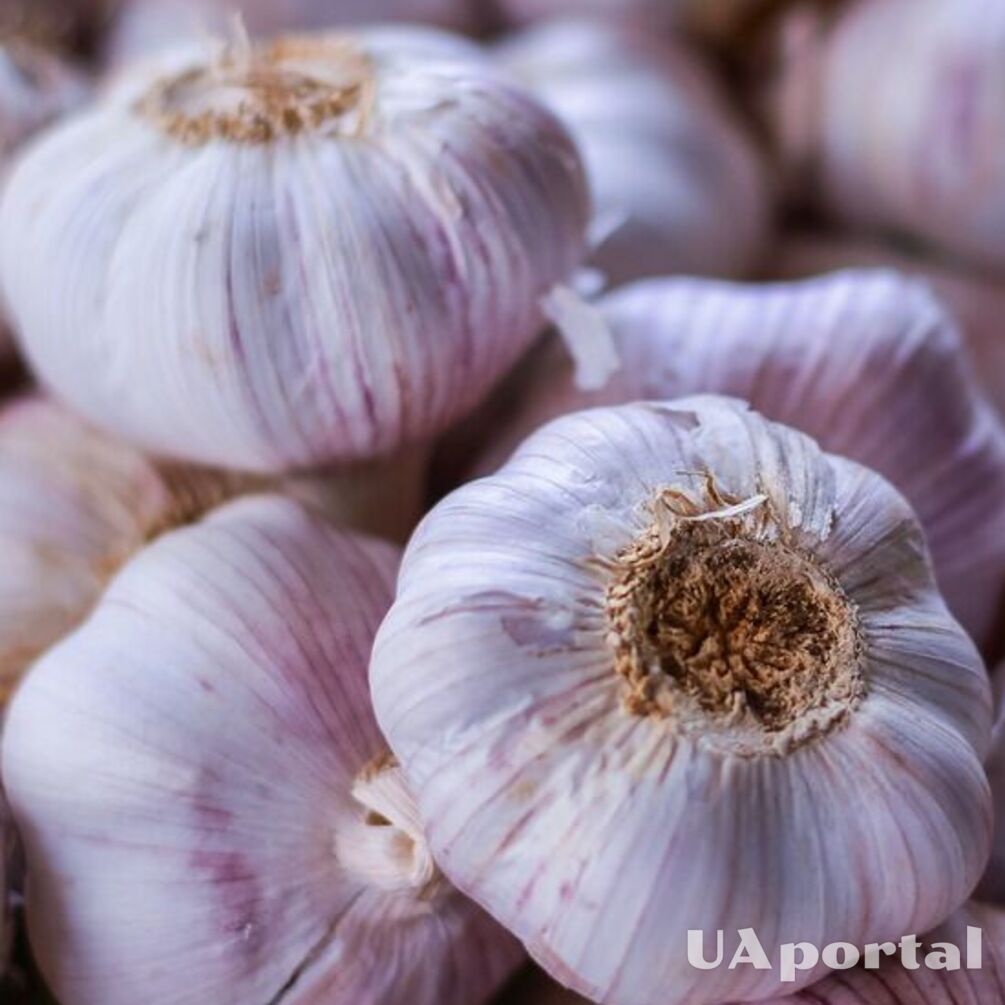 Three rules to help you buy quality garlic