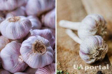 How to choose fresh garlic in the supermarket