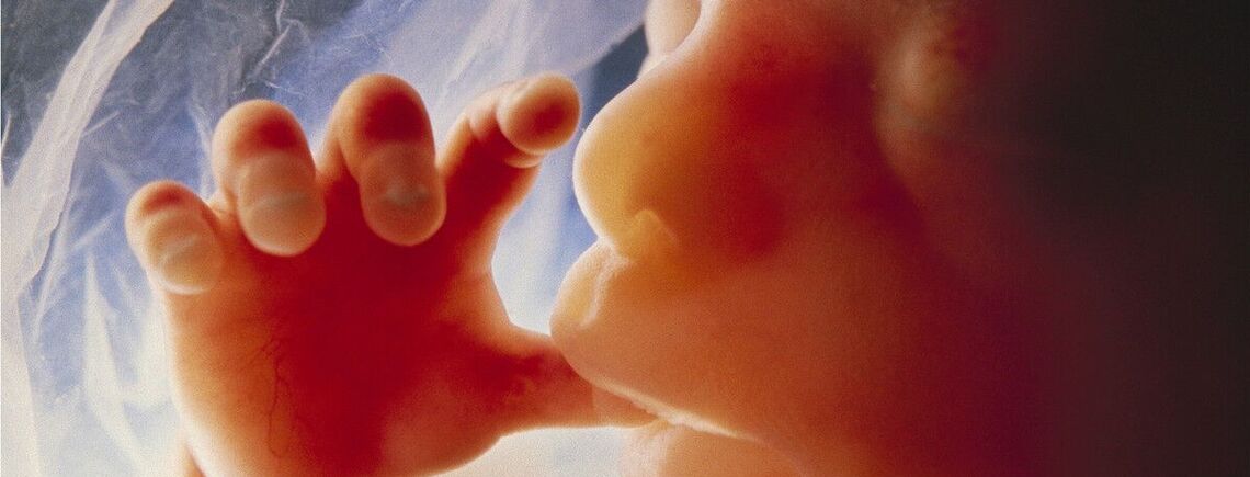 В это время уже формируется речь: Ученые выяснили, что слышит ребенок в утробе матери