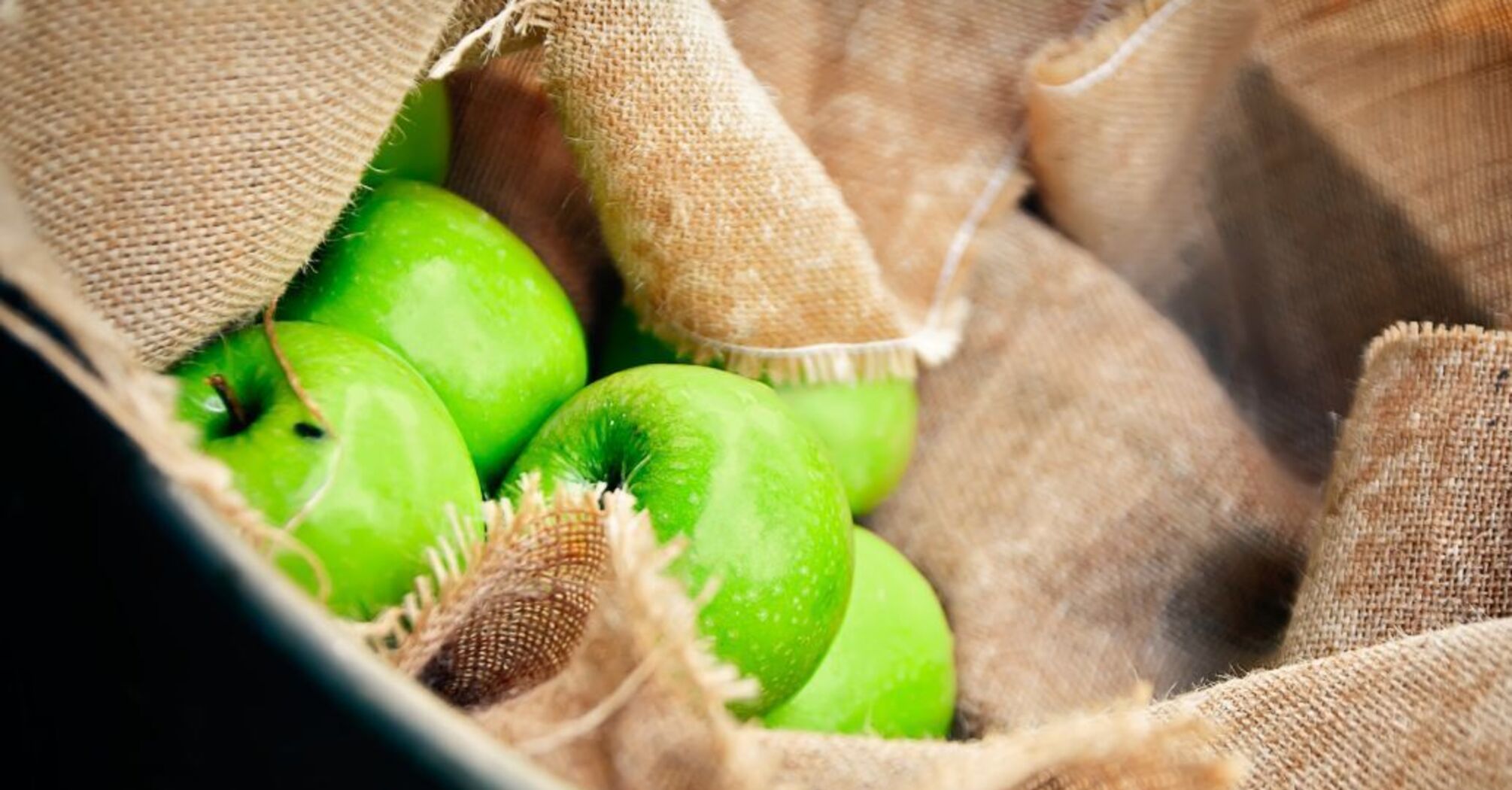 Как дольше хранить яблоки в домашних условиях: лайфхаки