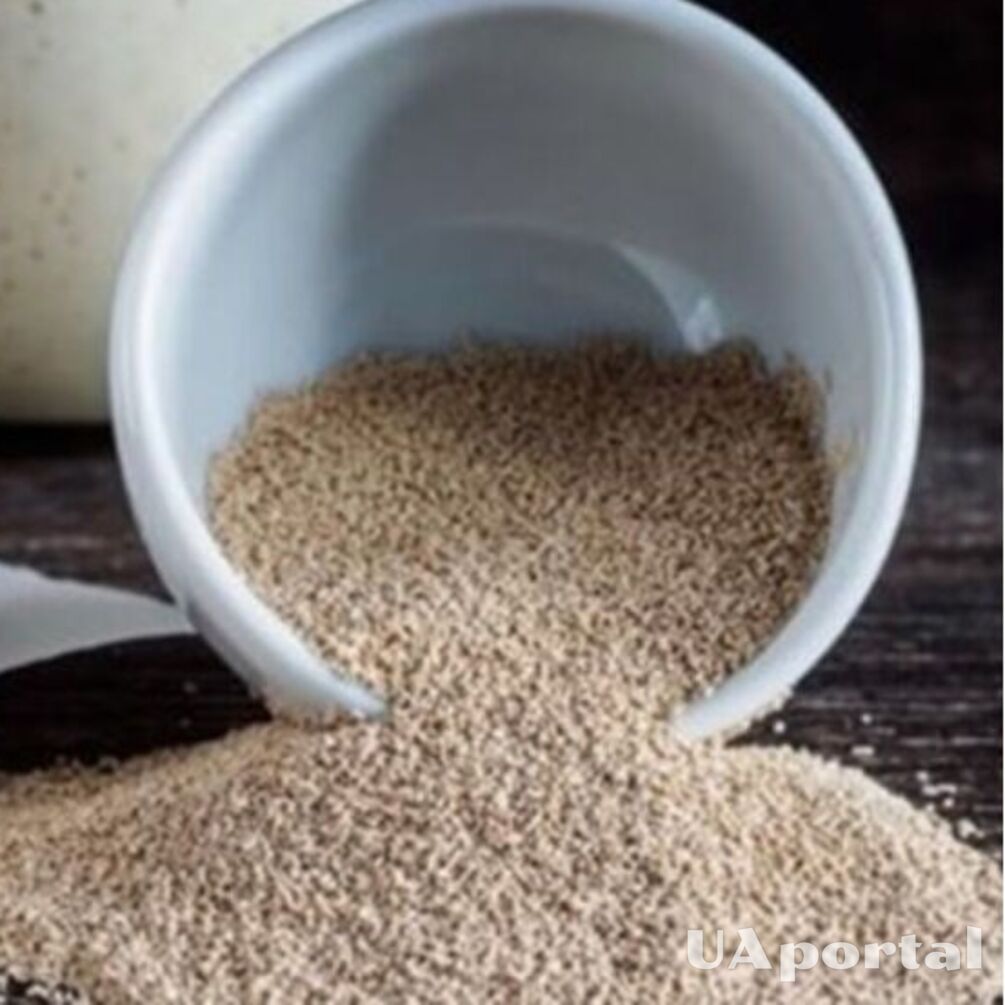 Home yeast: a simple recipe that will quickly become a favorite