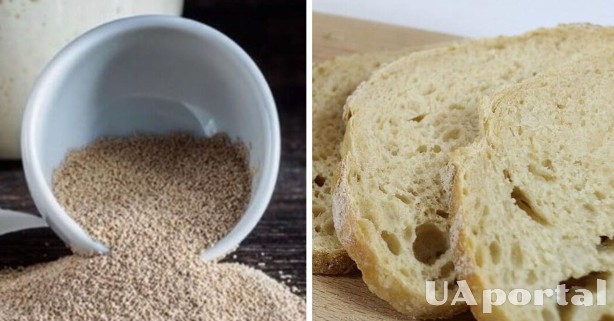 Home yeast: a simple recipe that will quickly become a favorite