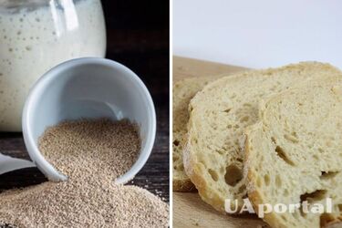 Homemade yeast - how to make yeast