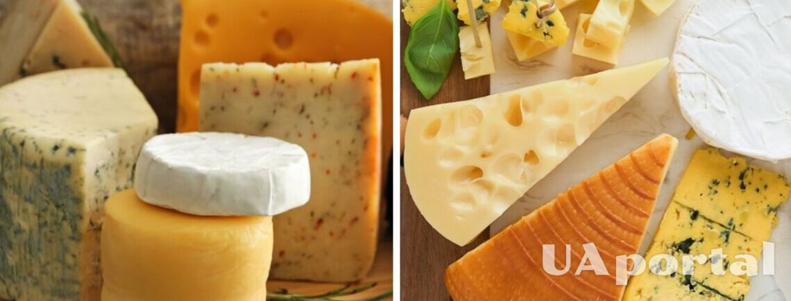 Як зберігати твердий сир, щоб він не засох і не зіпсувався: прості поради