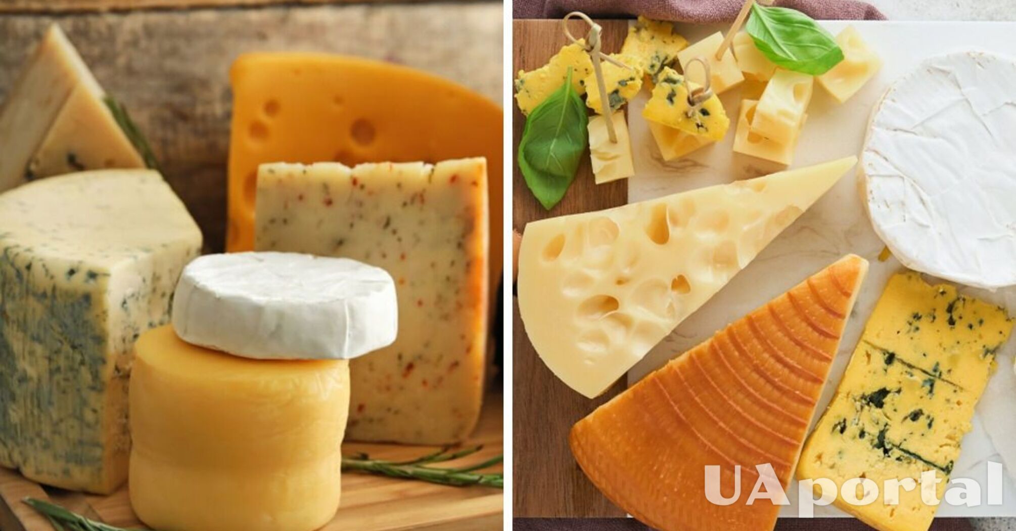 Як зберігати твердий сир, щоб він не засох і не зіпсувався: прості поради