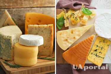 Як правильно зберігати твердий сир, щоб він не засох і не запліснів