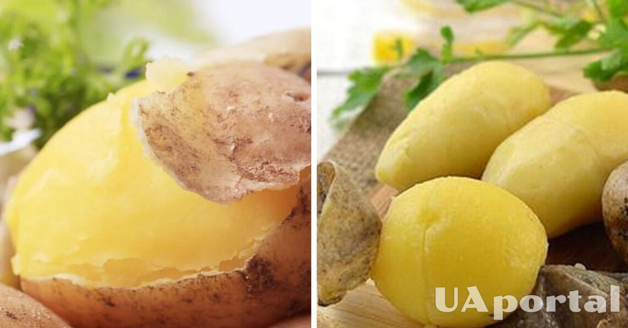 How to peel boiled potatoes in seconds: a life hack with scissors
