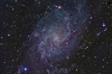 Пять знаков зодиака обретут гармонию и покой на этой неделе