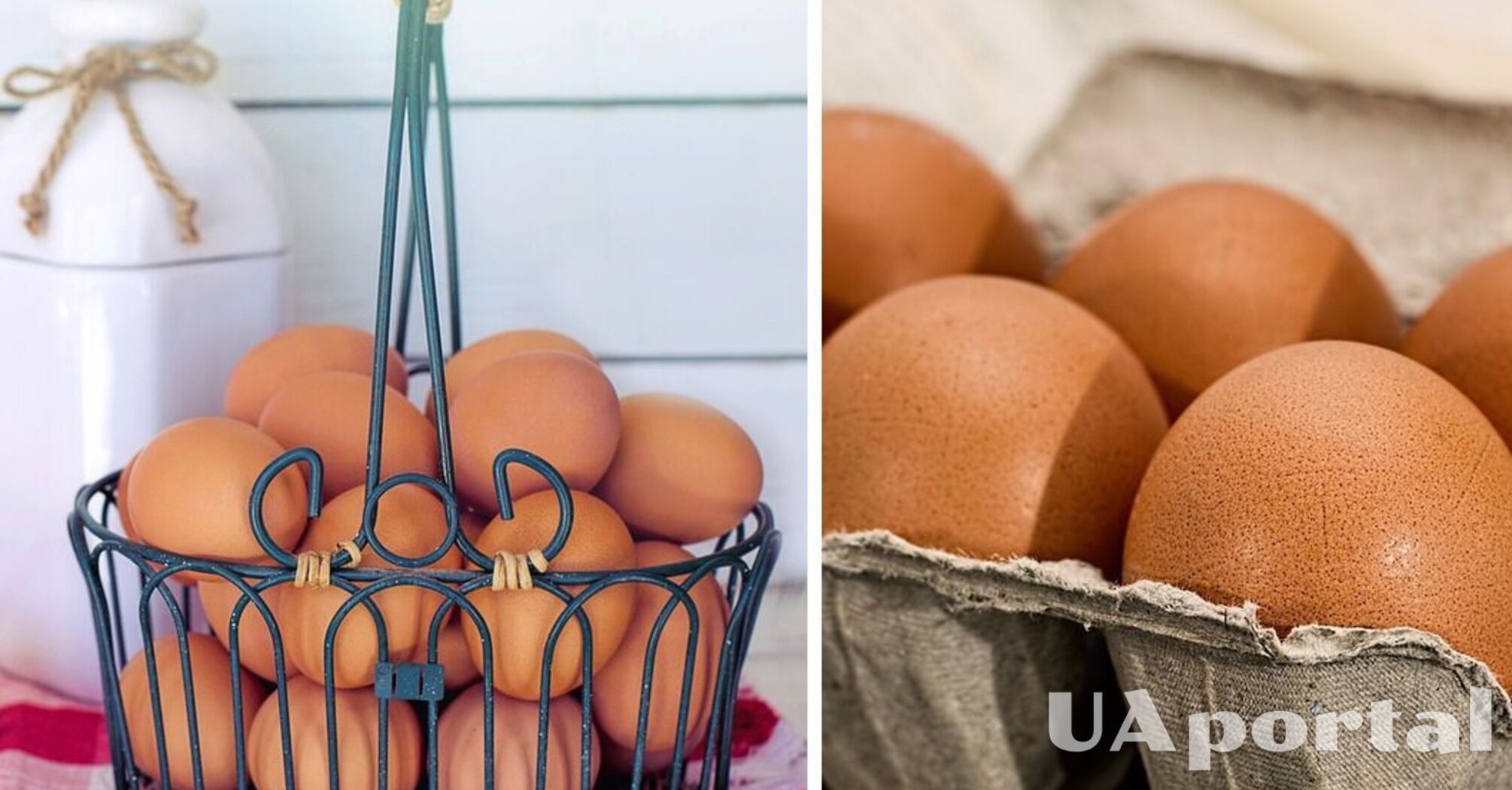 Experts explain where to keep eggs to prevent them from spoiling