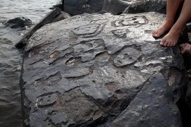 На березі Амазонки виявили петрогліфи віком 2000 років (фото)