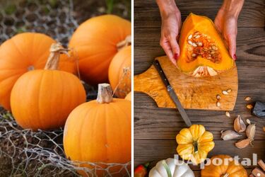 Не спешите выбрасывать: хозяйки назвали 5 полезных применений тыквенной кожицы