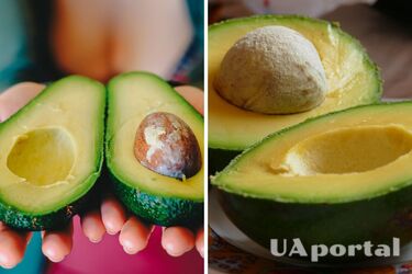 Фахівці розповіли, як зберегти половинку авокадо, щоб вона не потемніла