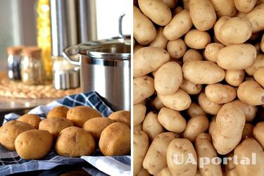 Як правильно зварити картоплю, щоб вона не розвалювалася