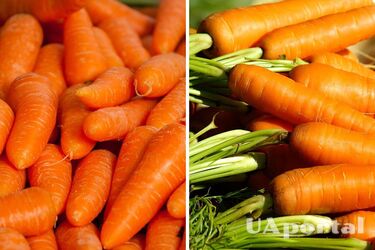 Як зберігати моркву, щоб вона не псувалася тижнями: поради експертів