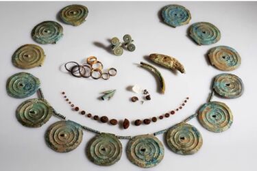 Bronze Age scrub dating back to 1500 BC discovered in Switzerland: had special meaning for the owner