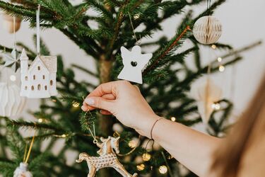 Корисні поради, як правильно обрати натуральну ялинку