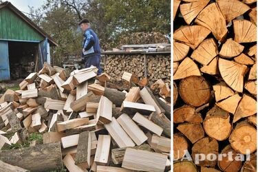 Как получить субсидию на покупку дров для отопления